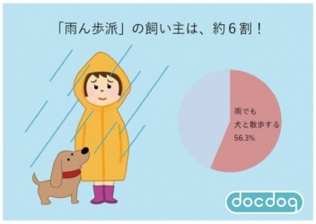 雨の日でも愛犬と散歩をする “雨ん歩派” 飼い主は約6割!雨ん歩のお困りごとは「愛犬の足汚れ」(株式会社ディライトクリエイション)