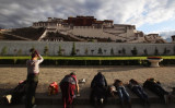 五体投地してポタラ宮を礼拝する人々 （Photo by Feng Li/Getty Images）