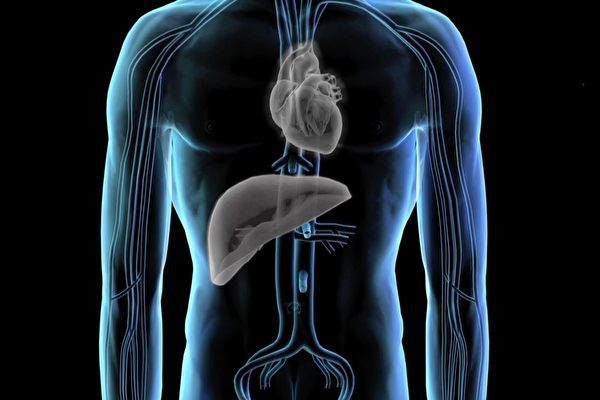 20日発表された新たな調査報告は、中国で今も臓器狩りが行われていると結論づけた(スクリーンショット)