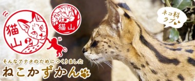 株式会社岡田商会