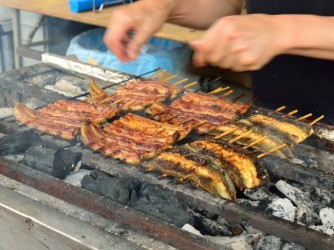 泳ぐうなぎを掴み取りから蒲焼まで 第7回体験型うなぎ祭り開催(株式会社 鮒忠)