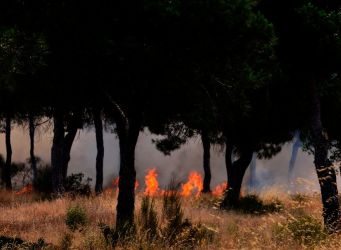 動画 スペインの森林火災 ユネスコ世界遺産に被害 1850人避難