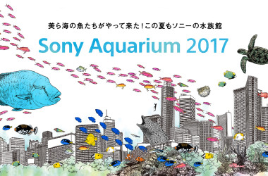 ( ソニー企業株式会社 )