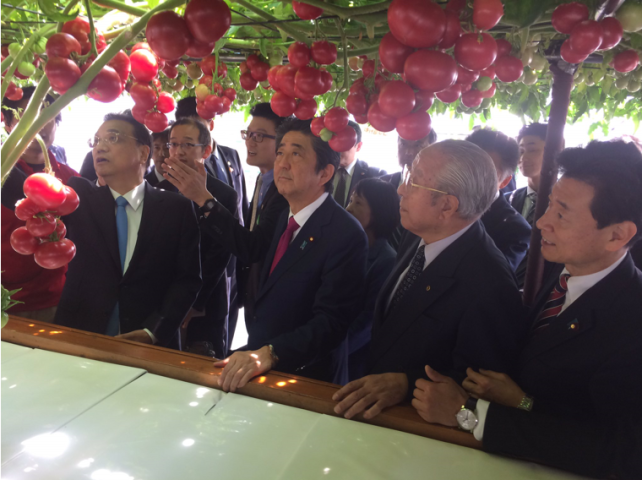 トマト栽培を視察する中国の李克強総理と、同行する安倍首相。副官房長官の投稿（nishy03）