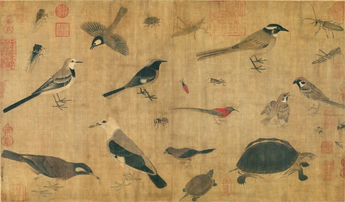 『写生珍禽図巻』(五代十国・黄筌 パブリック・ドメイン)