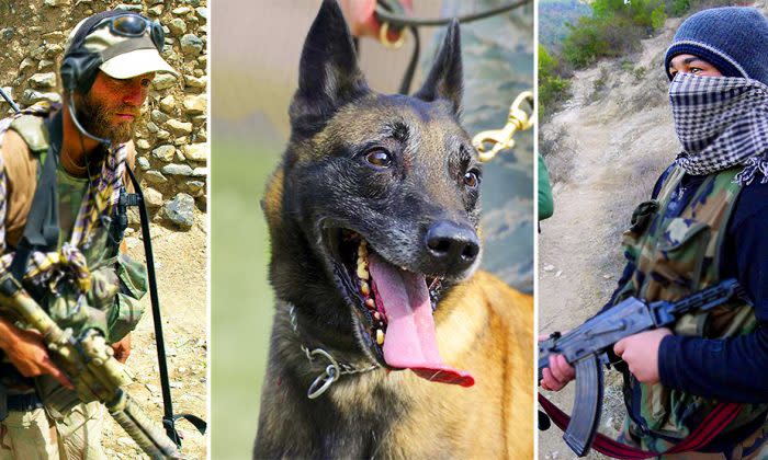 イギリスの警察犬が テロリストの喉にかみつき 狙われた兵を救う 大紀元 エポックタイムズ