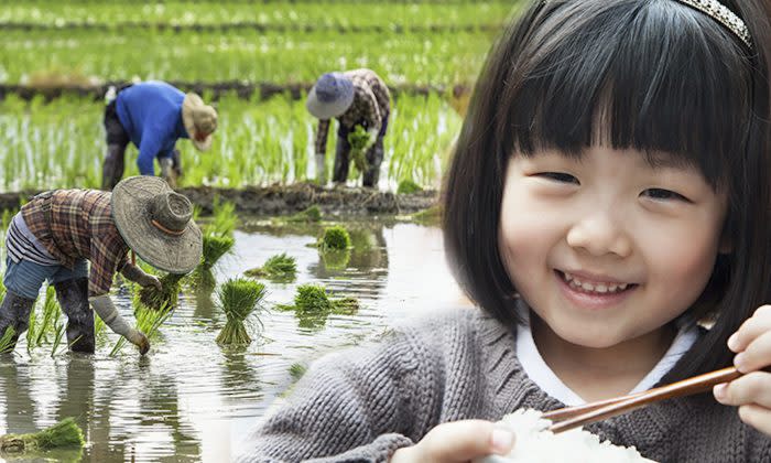 しゃべる ご飯粒が少女に伝えたいこと 食べ物を粗末にしないで