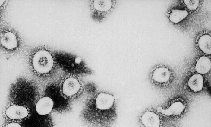 米研究者は中共ウイルス（新型コロナ）が空気を介して感染する可能性があると示した。（CDC/Getty Images）