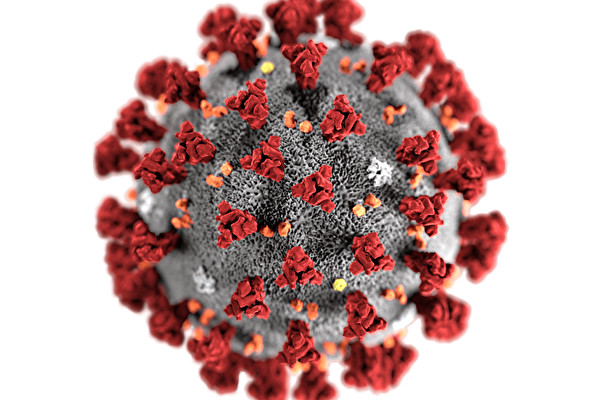 中共ウイルス（SARS-cov-2）の立体構造（www.cdc.gov）