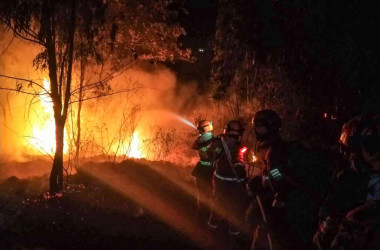 四川省、山火事で消防士ら19人が死亡　昨年も31人死亡　生かされなかった教訓