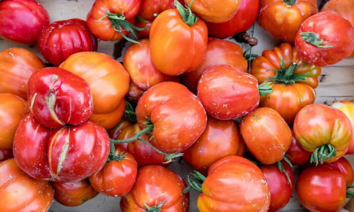 イタリア料理のかなめ 3種類のトマトソースに挑戦 新鮮なトマトを旬に味わいましょう
