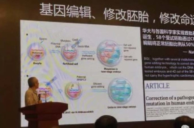 オンラインで公開された、ヒトの遺伝子操作について講演する中国最大手の生物化学研究所・華大基因(BGI、深セン華大基因科技有限公司)