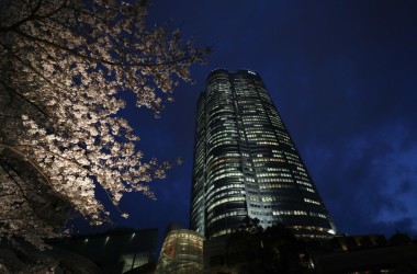六本木ヒルズ森タワーと夜桜(Photo by Takashi Aoyama/Getty Images)