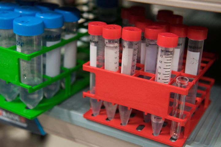 米国立衛生研究所（NIH）は外国政府との関係を申告しなかったなどの問題を持つ研究者100人を排除した。写真はイメージ写真。（SAUL LOEB/AFP via Getty Images）