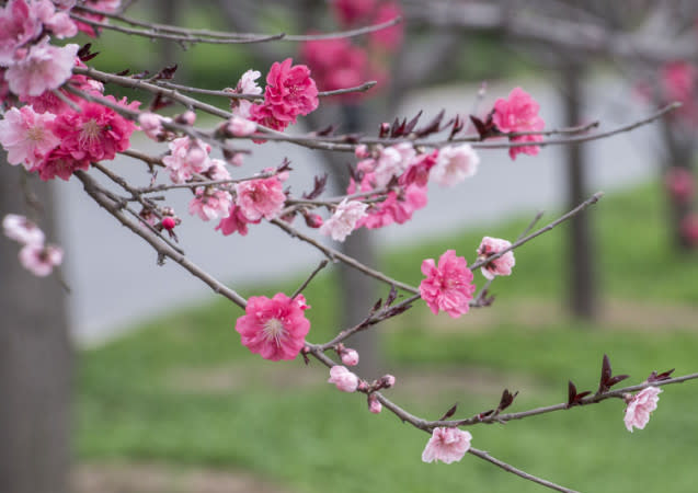 （天雪　撮影）