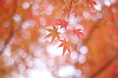 KENTAMA/Flickr