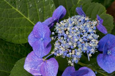 Norio NAKAYAMA/Flickr