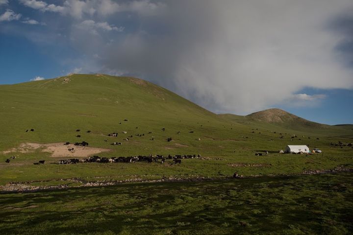 青海省は人口密度が低く、草原や山岳地帯が広がる。（Photo credit should read NICOLAS ASFOURI/AFP via Getty Images）