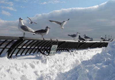 （EMMANUEL DUNAND/AFP/Getty Images）