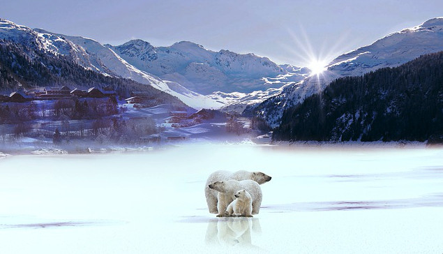 (Three-shots/Pixabay)