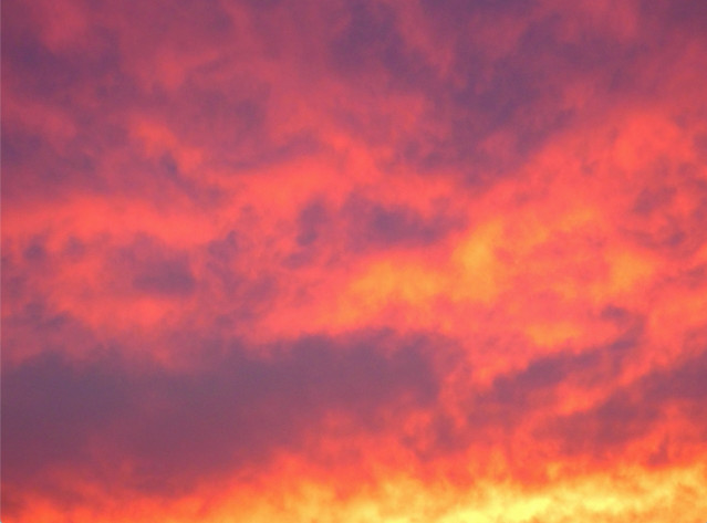 (ミイコソル/photoAC)