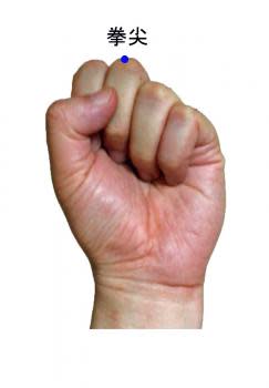 拳尖（けんせん）