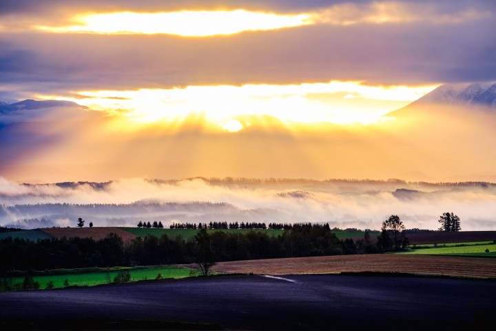 ばりろく / PIXTA