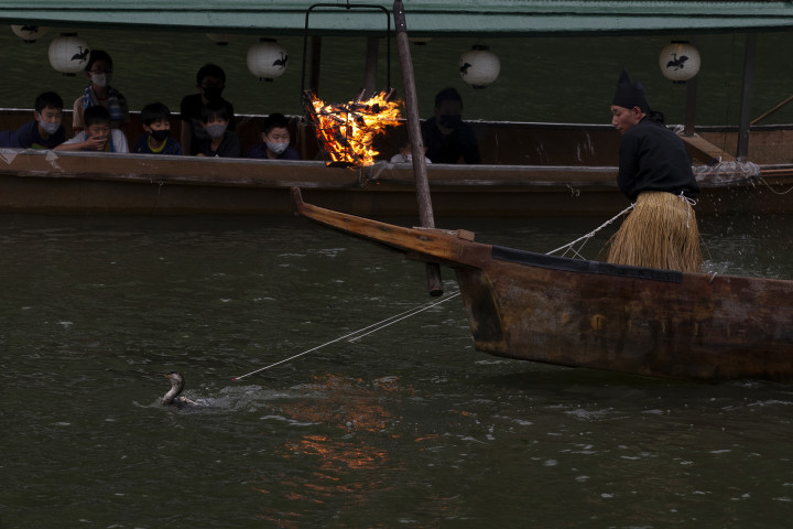 嵐山で伝統漁法「鵜飼」が始まった。鵜をあやつる鵜匠の巧みな技を見学する小学生たち （Photo by Buddhika Weerasinghe/Getty Images）