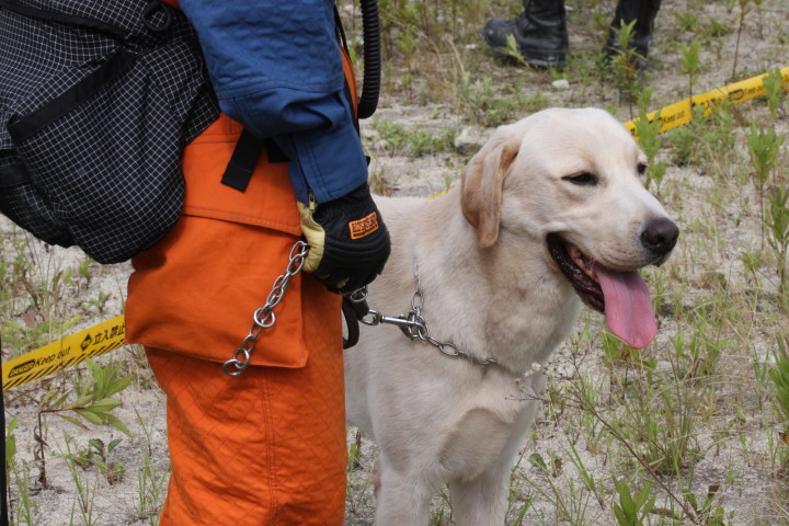 イメージ写真　（やんちんぐ / PIXTA）