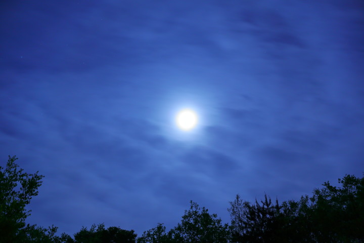 （ Ikamura / PIXTA）