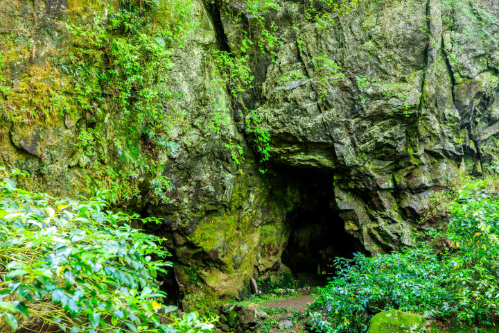 イメージ写真　（kattyan / PIXTA）