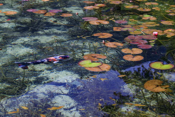 （オフィスK / PIXTA）