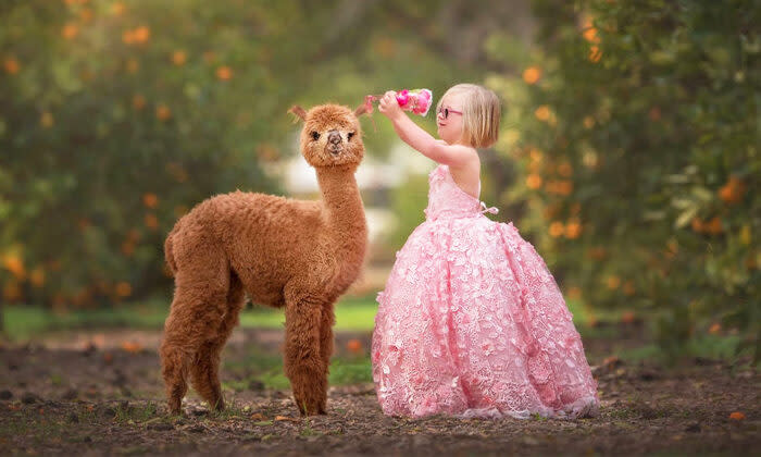 （提供：Leica Palma via Mia Armstrong）