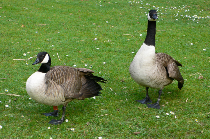 イメージ写真（Lambda Photography / PIXTA）