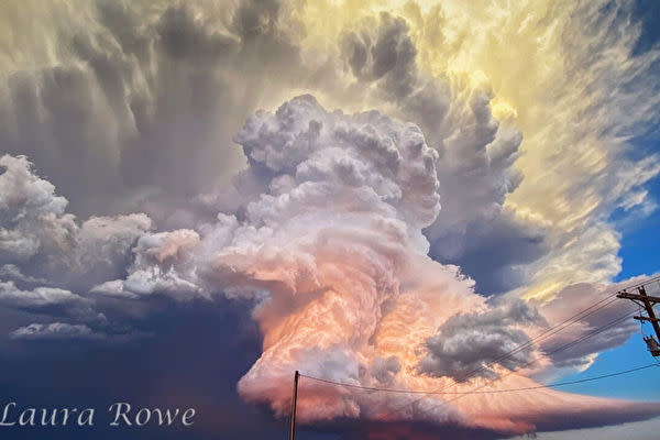 （ローラ・ロウ）