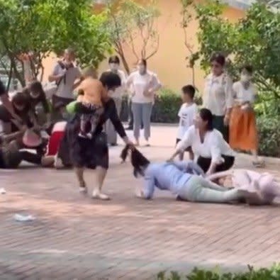 中国・北京野生動物園では7日に来園客同士の殴り合い事件が発生した。（スクリーンショット）