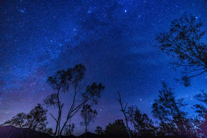 (まちゃー / PIXTA)