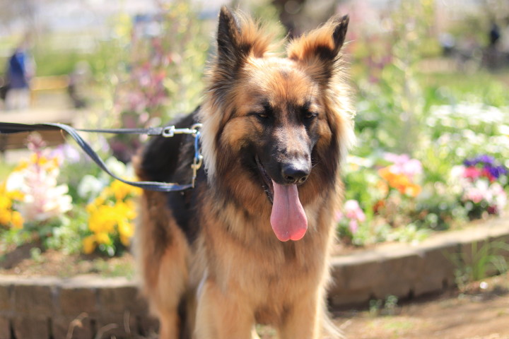 イメージ写真  （たけぽん / PIXTA）