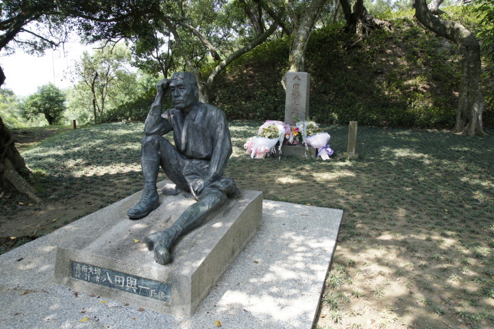 （Kenichi Horie / PIXTA）