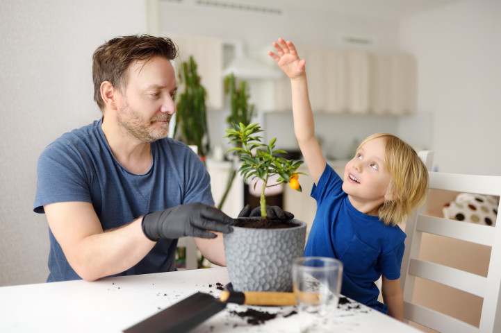 （ Maria Sbytova / PIXTA）