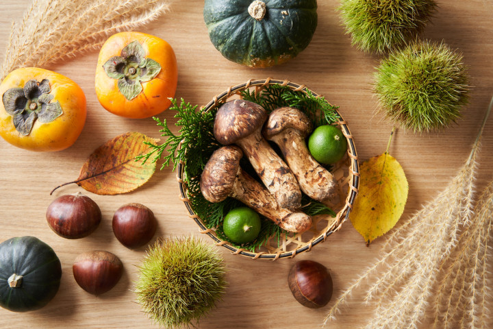 shige hattori / PIXTA