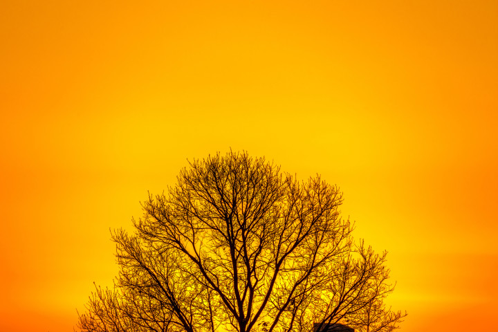 ( T-Urasima / PIXTA)