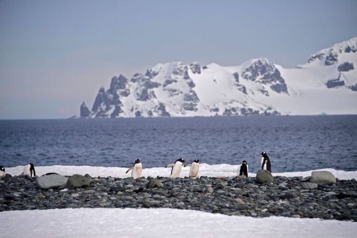 地球上で最も寒い南極 史上2番目に寒い冬を観測 大紀元 エポックタイムズ