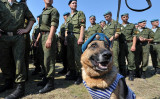 犬がパラシュート降下をしている姿を想像できますか？ ロシアにはパラシュート降下の訓練のために、兵士と一緒に飛行機からパラシュート降下する軍用犬もいます。かなり大胆ですね。画像はイメージ写真 （Photo credit should read VICTOR DRACHEV/AFP via Getty Images）
