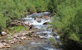 アメリカ・ワイオミング州アフトンの近くにある間欠泉は、15分ごとに湧き出し、湧き水が合流して小さな川ができています （Shutterstock）