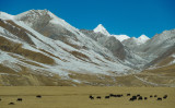 チベット　青蔵鉄道からの車窓風景（trikehawks / PIXTA）