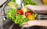 野菜は農薬や虫がつきやすいので、調理前に洗うことが大切です。 （Shutterstock）
