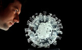 2020年3月17日、イングランド南西部ブリストルにある英国人アーティスト、ルーク・ジェラム氏のスタジオに展示されているガラス彫刻「コロナウイルスCOVID-19」（直径23cm、実際のウイルスの100万倍）（ADRIAN DENNIS/AFP via Getty Images）イメージ写真