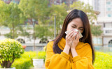 春は通常、アレルギーシーズンで花粉が多く、花粉症になりやすいので注意が必要です。（Shutterstock）