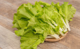 台湾の国産野菜である小白菜は、多くの屋台料理のおかずとなるだけでなく、カルシウムやデトックス効果のある栄養素が豊富に含まれています。 （Shutterstock）